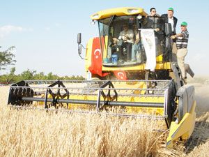 Ova'da 3 milyon ton buğday üretimi bekleniyor