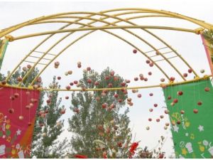 Almatı'daki Festivalde 50 Ton Elma Tüketildi