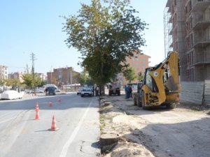 Karatay'da asırlık ağaçlar kesildi