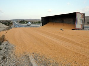 TIR devrildi, mısır yola döküldü