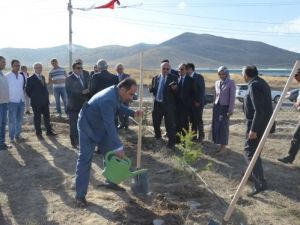 Kayseri’de Gelecek Yıl 5 Milyon Fidan Dikilecek