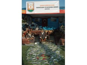 Anadolu Kültürleri Festivalde Buluştu