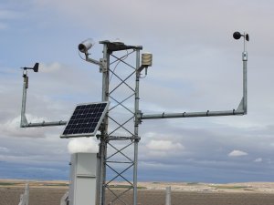 Ovanın "güneş tarlaları" enerjide dışa bağımlılığı azaltacak
