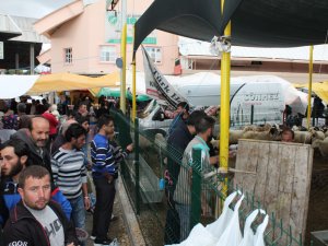 Kurban pazarı hareketlendi