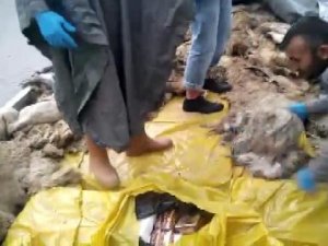 TIR'da hayvan derileri altından kaçak sigara çıktı