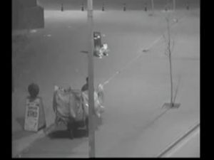 Adalhan önünde hırsızlık