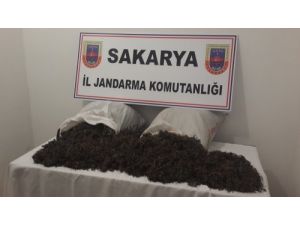 Jandarma Ormanlık Alanda 22 Kilogram Kubar Esrar Ele Geçirdi