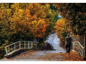 Fotoğrafçılar Malatya'da 'Sonbahar'ı Kareledi