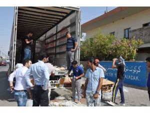 Büyükşehir Belediyesi'nin Yardımları Türkmenlere Ulaştı