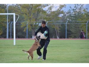 Eğitimli Köpekler Maharetlerini Sergiledi