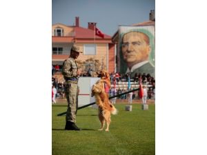 Jakem’in Eğitimli Köpekleri Gösteri Düzenledi