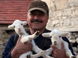 Hedef yeni ırk