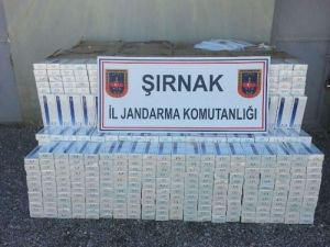 Şırnak’ta 29 Bin Paket Kaçak Sigara İle 2011 Adet Cep Telefonu Ele Geçirildi