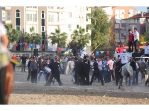 Cirit Maçında Olay Çıktı, Hakem, Çevik Kuvvet Aracıyla Alandan Uzaklaştırıldı