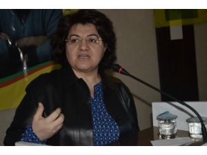 Ayna: Akp, Sakın Ola Kürtlere Karşı Öcalan'ı Kullanmaya Kalkmasın