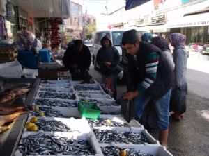 Hamsinin Fiyatı 3 Liraya Düştü