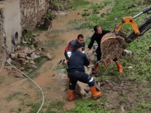 Derede Mahsur Kalan Atı İtfaiyeciler Kurtardı