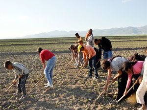 İşçilerin ''mevsimlik'' hayatları