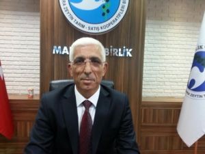 Marmarabirlik’ten 100 Milyon Fidan Dikim Teklifine Tepki