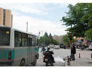 Ağaç dalları lambaları kapatıyor