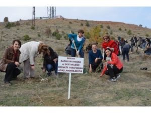 Kırıkkale Üniversitesi’ne Bin Ağaç Dikildi