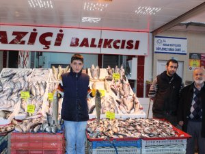 Balık halinde nabzı levrek artırdı