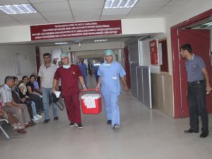 Türkiye'de 30 bin kişi organ bekliyor