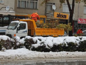 Kar yağışı ağaçların dalını kırdı