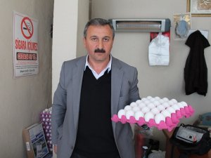 Yumurtada uyanıklar iş başında