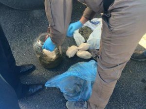 Uyuşturucu ile amansız mücadele