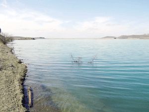 İvriz Barajı balık tutma ihalesi