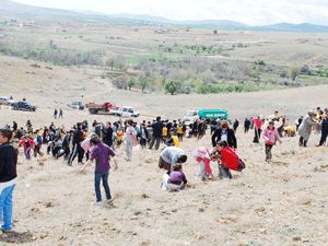 765 bin fidan dikildi