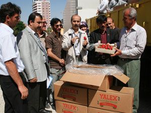 İl Özel İdaresinden köylüye organik destek