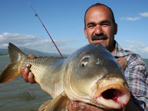 Beyşehir’de oltaya 7 kilogram sazan takıldı