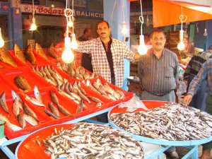 Hamsinin fiyatı cep yakıyor