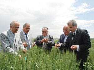 Süne ile mücadele başladı