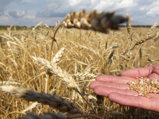 Rusya'da tahıl ihracatı tamamen durdu