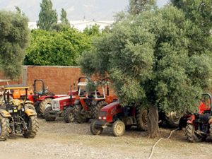 Dolandırıcılık operasyonunda 11 tutuklama