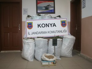 Konya'da uyuşturucu operasyonu