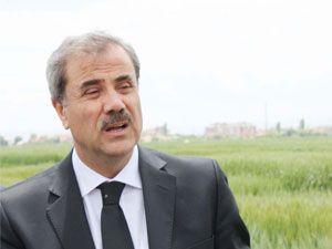 Süne ile ilaçlı mücadele zamanı başladı
