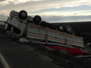 TIR şarampole devrildi