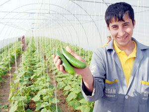 Tatil için ‘salatalık’ tavsiyesi