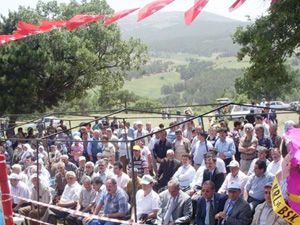 Bulcuklular, yaz şenliğinde coştu