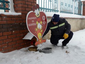 Meram Belediyesi’nden kuşlara yem