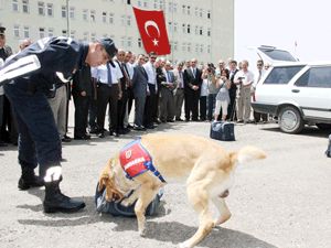 Jandarma Teşkilatının 171. kuruluş yıldönümü