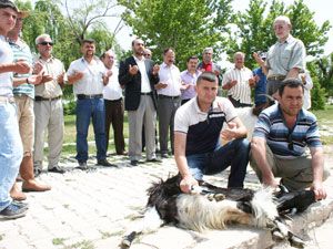 Beyşehir Gölü’nde av sezonu başladı