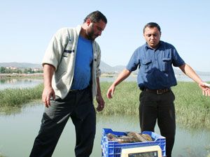Beyşehir Gölü'nde av sezonu başladı