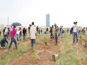 Genç İletişimciler 300 fidanı toprakla buluşturdu