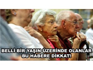 Avrupa'daki yaşlıların sofralarına Türkiye'den katkı…