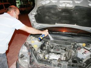 Otomobilin motoruha giren yılan sinek ilacı sıkılarak çıkarıldı